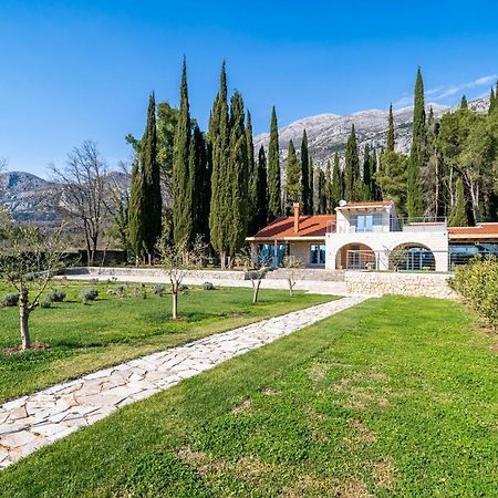 Villa Agave Gruda Εξωτερικό φωτογραφία