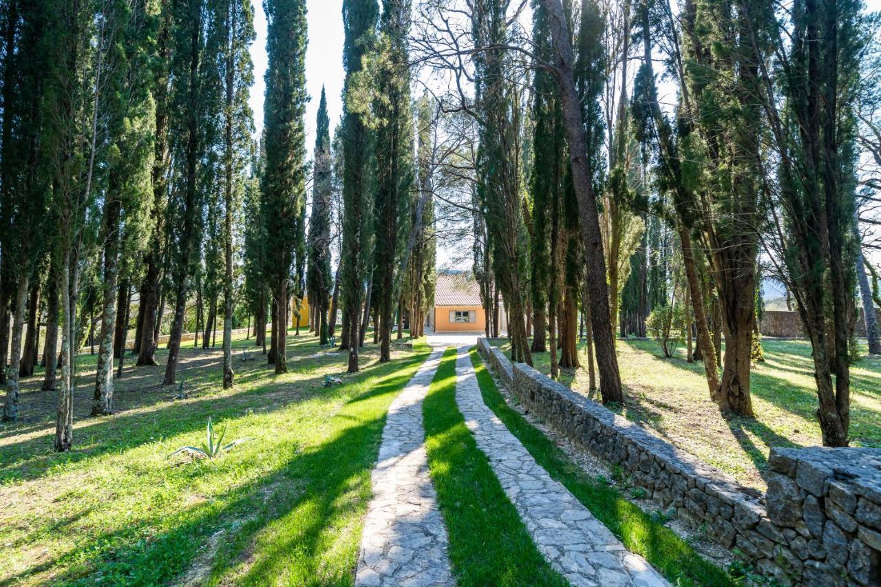 Villa Agave Gruda Εξωτερικό φωτογραφία