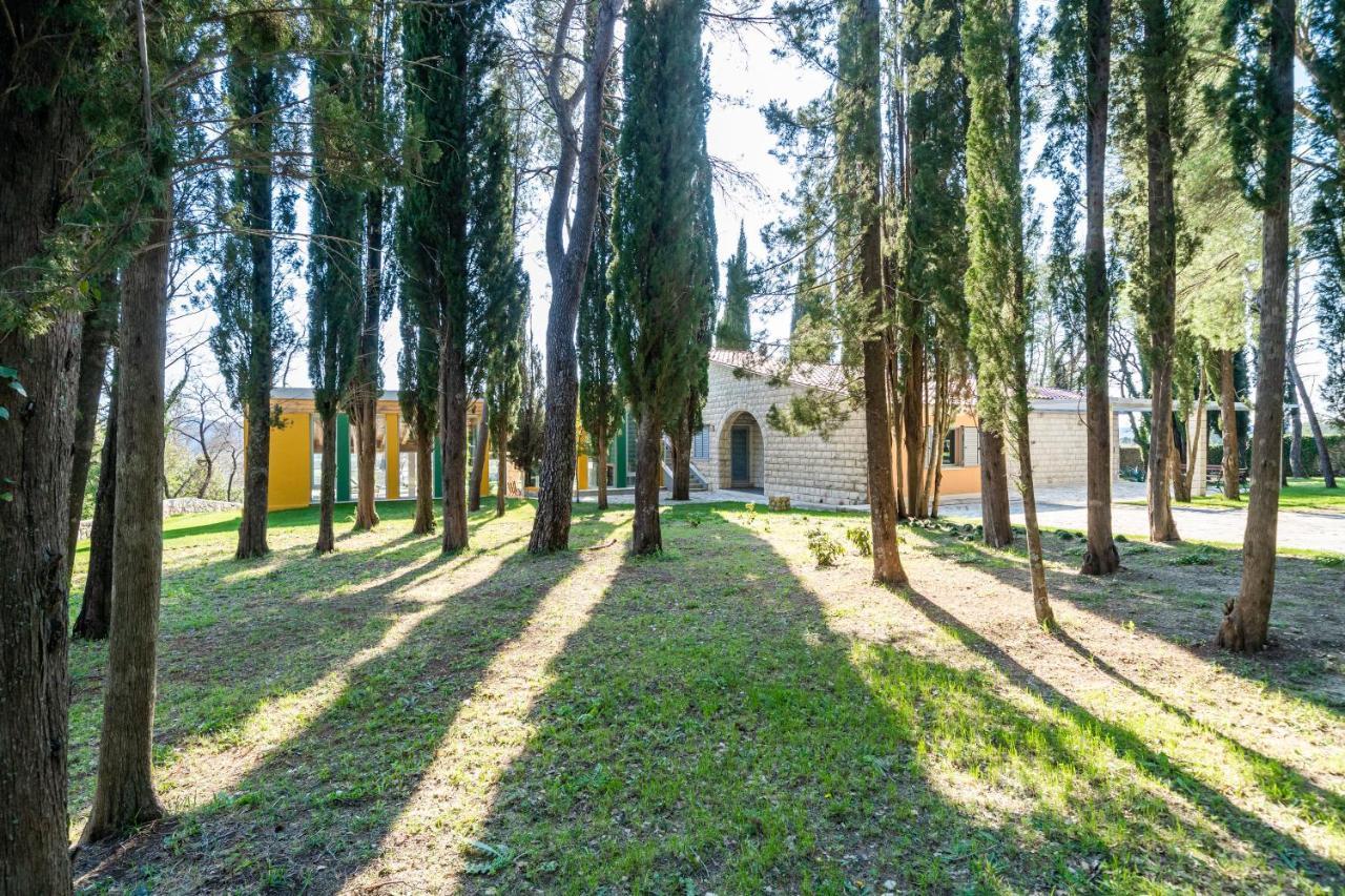 Villa Agave Gruda Εξωτερικό φωτογραφία