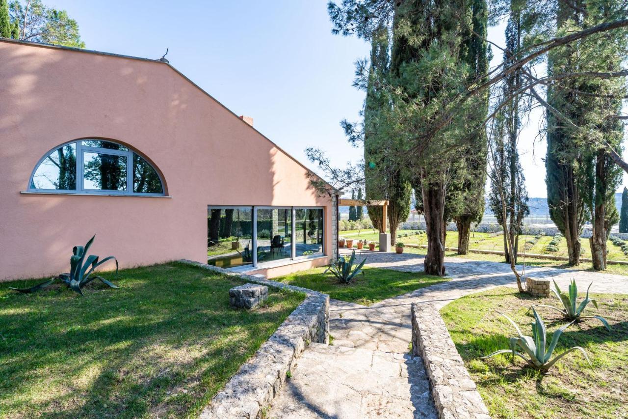 Villa Agave Gruda Εξωτερικό φωτογραφία